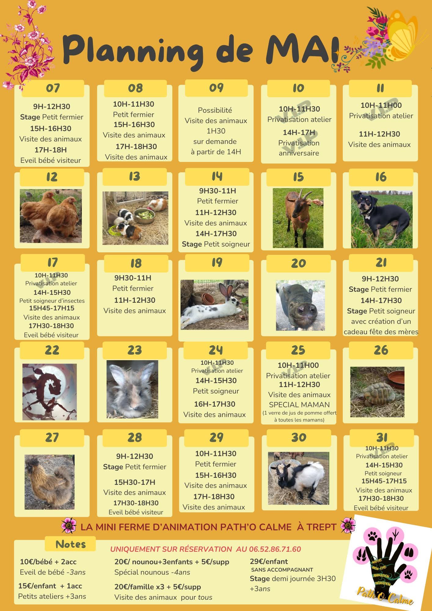 programme